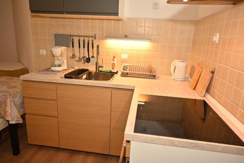 a kitchen with a sink and a counter top at Apartman Daiya in Rovinj