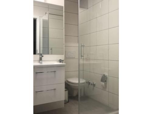 a bathroom with a toilet and a sink and a shower at Comfortable holiday residence in Keutschach am See