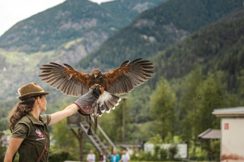 Clientes alojados en Ferienhaus Ban Brösign