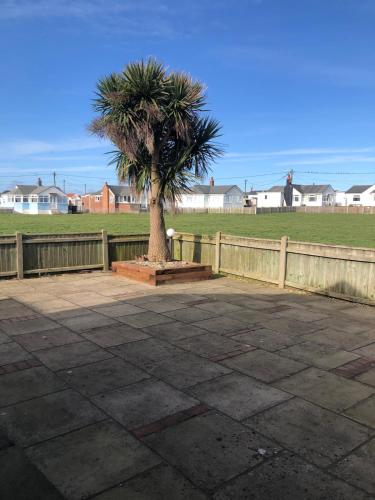 a palm tree sitting on a bench next to a fence at The Beach House in Bacton