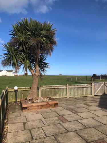 a palm tree sitting next to a wooden fence at The Beach House in Bacton