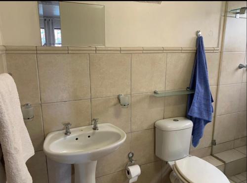 a bathroom with a white toilet and a sink at Guest House Mila in Durban
