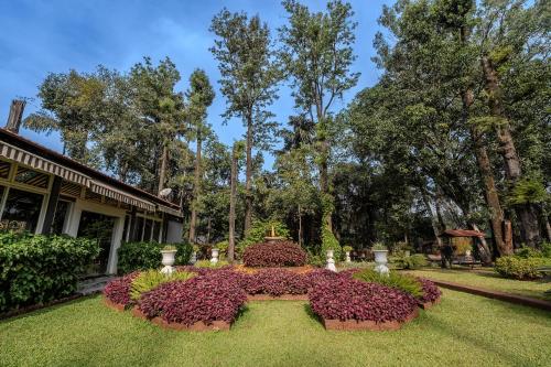 a garden with purple flowers in a yard at IL Palazzo Heritage Resort in Panchgani