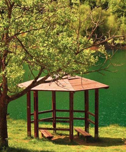 a picnic shelter under a tree next to a lake at Aithra Boutique Hotel in Tsivlós