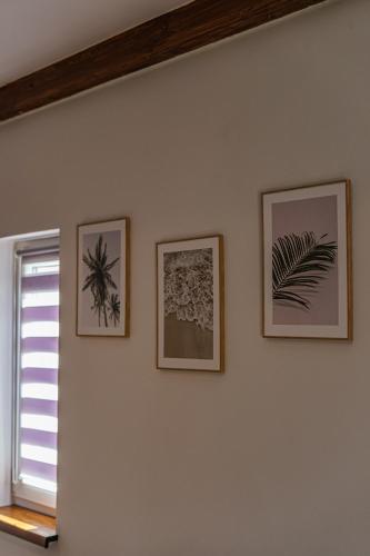 three framed pictures on a wall with a window at Apartamenty Koło Brzegu in Gąski