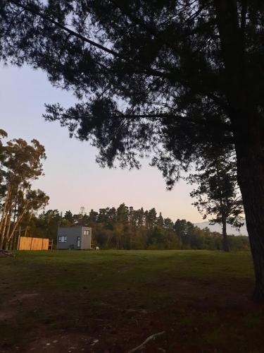 a small white house in a field with trees at Mountain view Bespoke tiny home in Plettenberg Bay