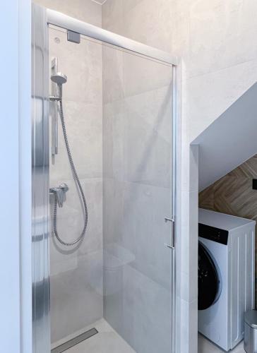 a shower with a glass door in a bathroom at Rio Apartamenty Żłobizna in Złobizna