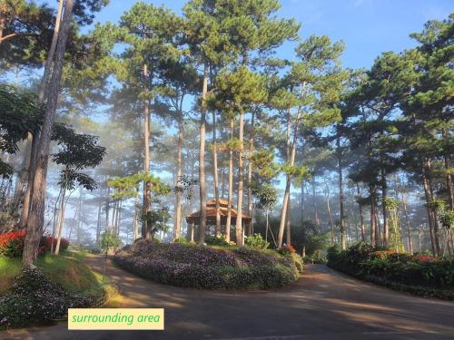 a tree lined road with a gazebo in a forest at Lan anh Village - Luxury villa Tuyen lam lake view in Xuan An
