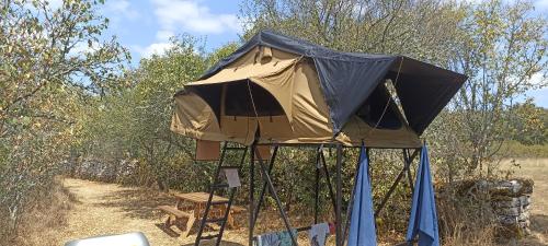 a tent in the middle of a field at Les gites et chambres d'hôtes du Mas de bouzou in Grèzes