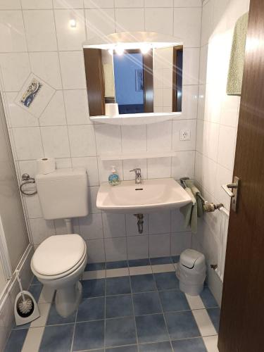 a bathroom with a white toilet and a sink at Gästehaus am Schlossberg in Friedenfels