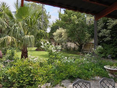 Κήπος έξω από το Palms Lodge