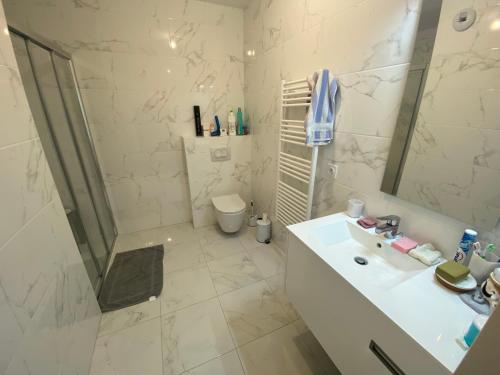 une salle de bain avec un lavabo, une douche et des toilettes dans l'établissement LARMOR-PLAGE : T2 en résidence de standing avec terrasse et parking, à deux pas de la plage et des commerces - FR-1-349-182, à Larmor-Plage