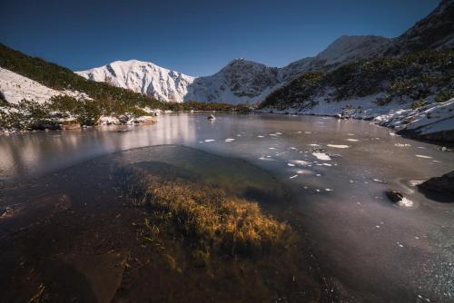 a river with snow capped mountains in the background at Chalet Oasis - Luxury Retreat at Chalets Kvačianska Dolina in Zuberec