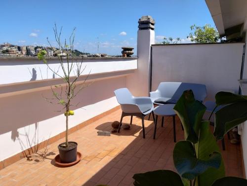 Il Mulo Volante - Panoramico attico con terrazzo a Trastevere