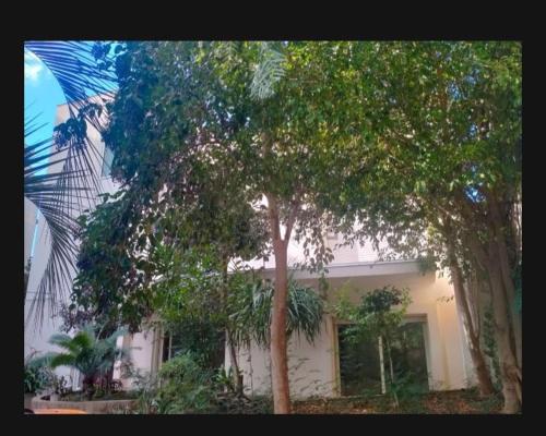 Κήπος έξω από το Villa Maya