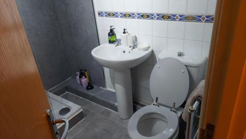 a small bathroom with a toilet and a sink at Jasmine cottage-1 King bed room, 40 mins to Cotswolds 90 mins to Oxford and Bath in Great Malvern