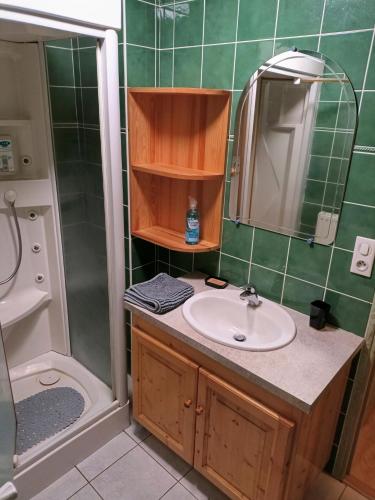 a bathroom with a sink and a shower at La maison du prieur in Langogne