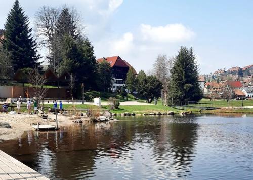 a body of water with a group of people and trees at Ferienwohnung Karin in Schonach