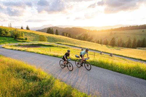 Ciclismo en Haus Michler o alrededores