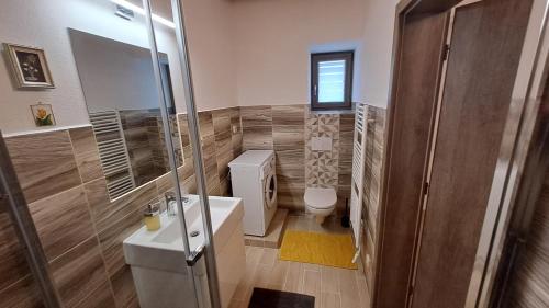 ein Badezimmer mit Dusche, Waschbecken und Toilette in der Unterkunft Apartmán Nové Město na Moravě - Maršovice in Nové Město na Moravě