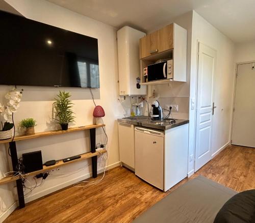 une petite cuisine avec un évier et un micro-ondes dans l'établissement Le Nid Du Vaugueux, à Caen