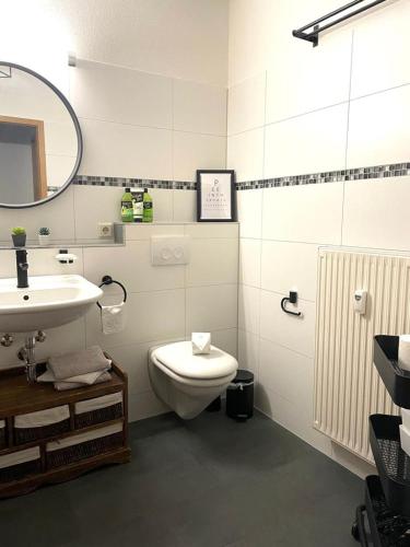 a bathroom with a toilet and a sink and a mirror at Zentrumsnahe Wohnung mit Sonnenterrasse in Leipzig