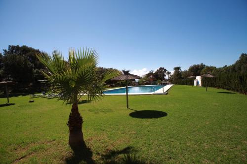 a palm tree in the grass next to a swimming pool at TAIGA Tarifa Valdevaqueros in Tarifa