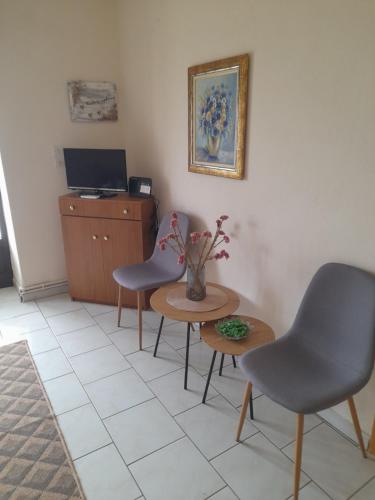 TV a/nebo společenská místnost v ubytování Garden Paradise in Megalochori Trikala