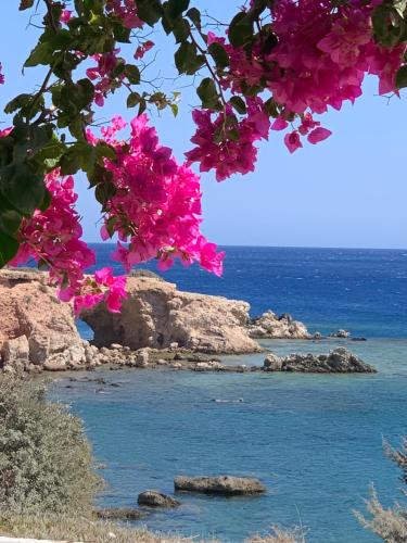 a view of the ocean with pink flowers at C'est La Vie Beach Villa in Amoopi