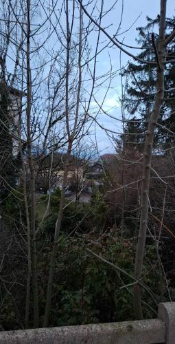 un groupe d'arbres sur une colline avec une maison dans l'établissement Cosi, à Gex
