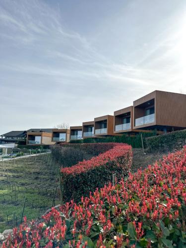 a building with red flowers in front of it at Paraiso Douro in Lamego