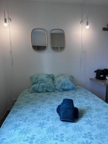 - une chambre avec un lit et deux miroirs sur le mur dans l'établissement Le clos d'AIX Célony N 7 Parking Piscine Clim, à Aix-en-Provence