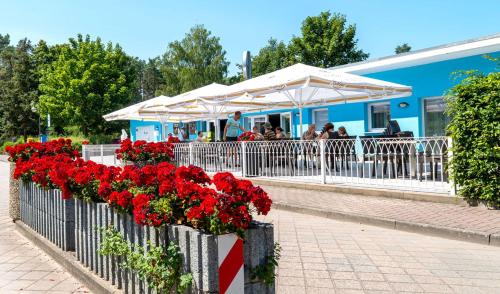 a row of red flowers on a fence in front of a building at Bungis - 28 Ferienhäuser Am Grimnitzsee G4 in Joachimsthal