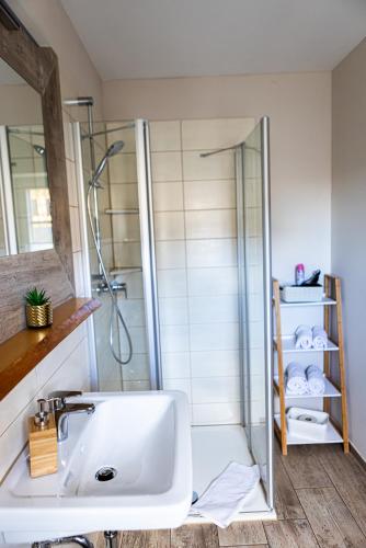 a bathroom with a shower and a sink at Landkulturhof Glücksbringer in Rudolstadt