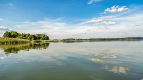 a large body of water with trees in the background at Bungis - 28 Ferienhäuser Am Grimnitzsee G6 in Joachimsthal
