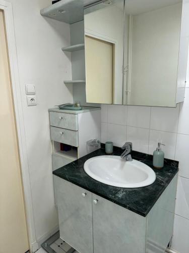 une salle de bain avec un lavabo et un miroir dans l'établissement Le cosy du 12ème, à Paris
