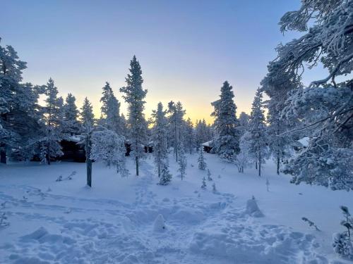 Arctic Log Cabins talvel