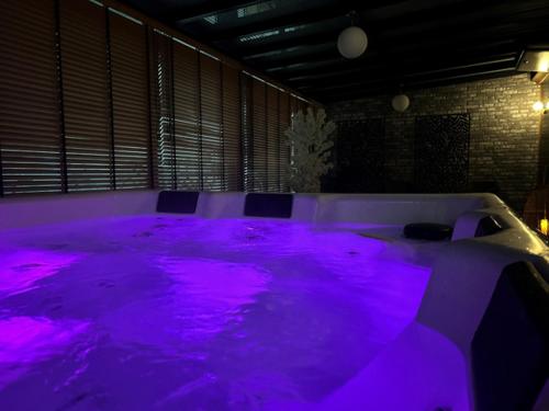 a large hot tub in a room with purple lights at Hotel Alfonso I in Tui