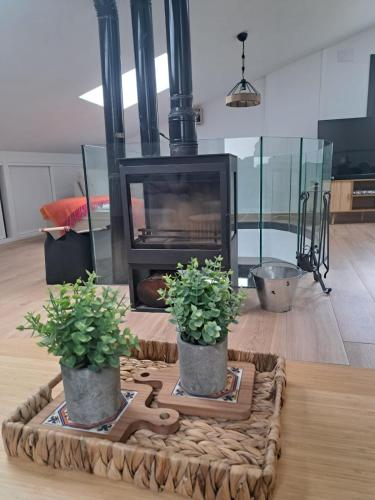 a living room with a fireplace and two potted plants at Ayra de Gredos in El Barco de Ávila