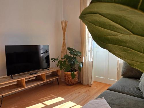 Télévision ou salle de divertissement dans l'établissement Ficus Suites