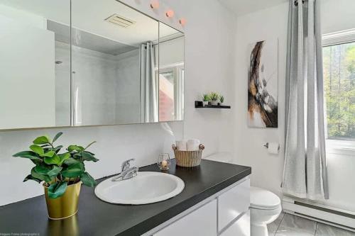 un bagno con lavandino, WC e specchio di Beau chalet bord de rivière et spa, Beautiful riverside cottage! a Saint Come