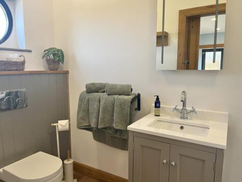 a bathroom with a sink and a toilet and a mirror at The Tin Shed in Rhayader