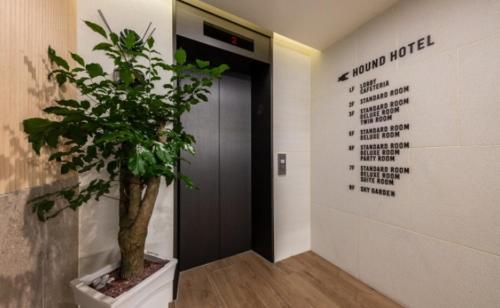 Fotografie z fotogalerie ubytování Hound Hotel Songtan v destinaci Pchjongtchek