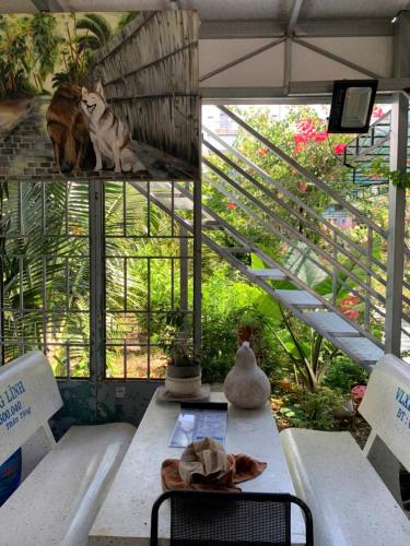 a table with two cats sitting on top of it at Nomad homestay in Ninh Hải