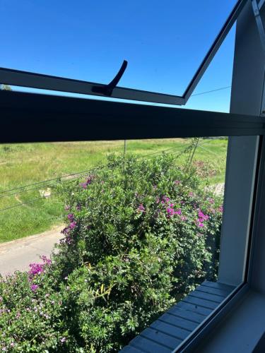 Foto sihtkohas Manzini asuva majutusasutuse Skyfly Bed & Breakfast galeriist