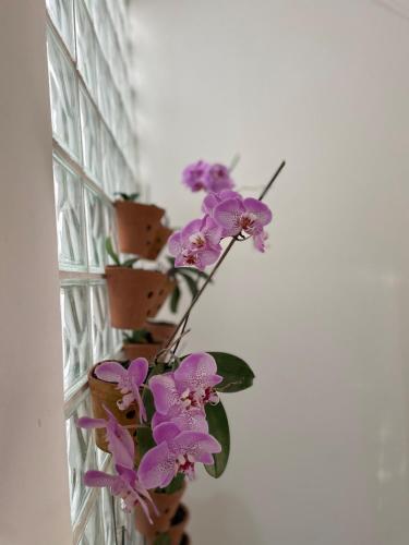 a bunch of purple flowers in a vase on a wall at Casa em Barueri in Barueri