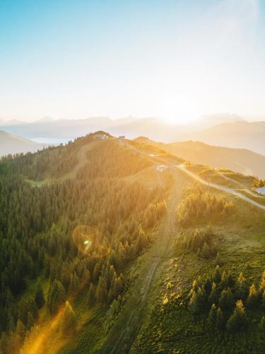 an aerial view of a hill with trees at Villa Frieda mit Zell am See-Kaprun Summer Card in Zell am See