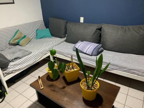 ein Wohnzimmer mit einem Sofa und einem Tisch mit Pflanzen in der Unterkunft Casa Quinta Arroyo del Medio in Acindar