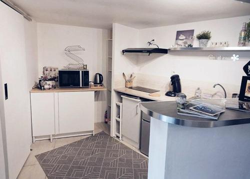 a kitchen with a sink and a counter top at Cottage Belle Rive in Bellerive-sur-Allier