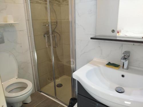 une salle de bain avec une douche, des toilettes et un lavabo dans l'établissement DOUARNENEZ Centre ville, à Douarnenez